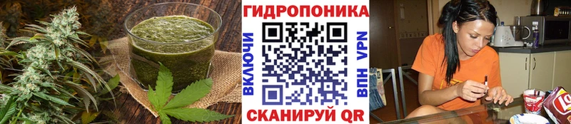 Cannafood конопля  Бабаево 