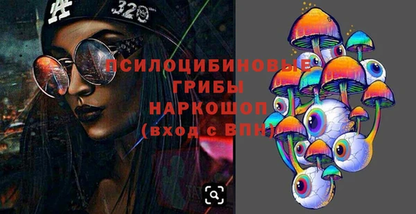 ПСИЛОЦИБИНОВЫЕ ГРИБЫ Алзамай