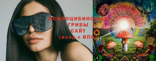 ПСИЛОЦИБИНОВЫЕ ГРИБЫ Алзамай