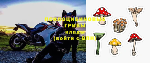 круглые Арсеньев