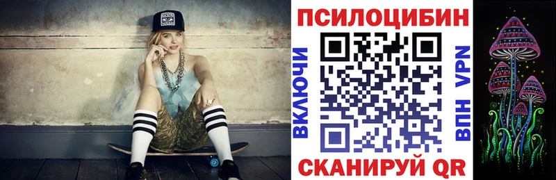 Псилоцибиновые грибы мицелий  кракен ТОР  Бабаево  где продают  