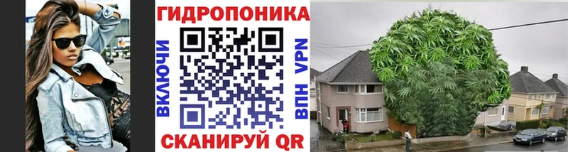 купить наркотики цена  Бабаево  Каннабис тримм 